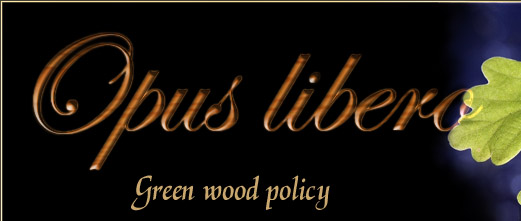 Opus libero Sustainable Timber Policy